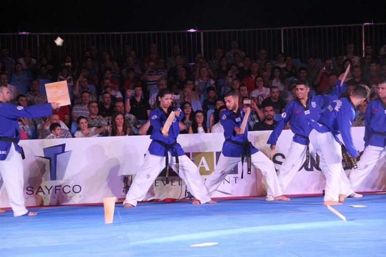 Martial Arts Festival